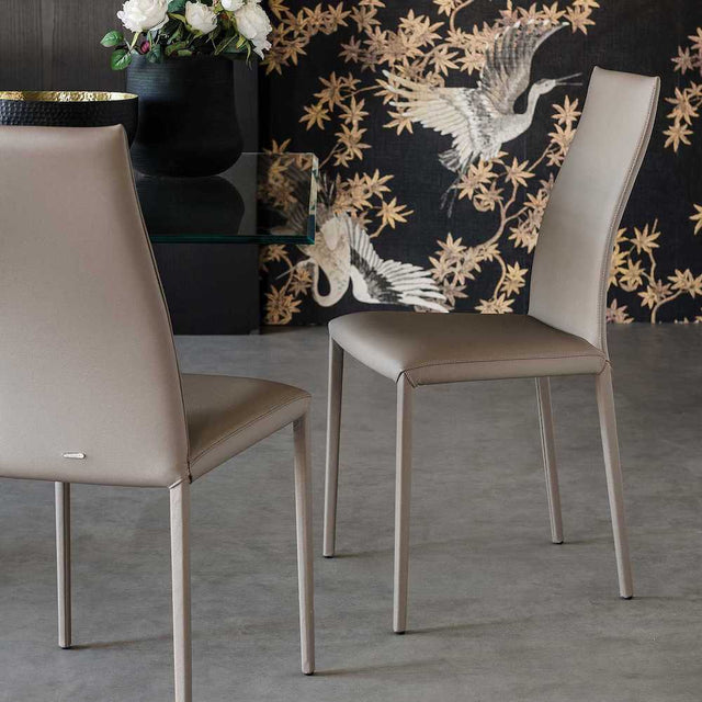 norma high back dining chair | Cattelan Italia