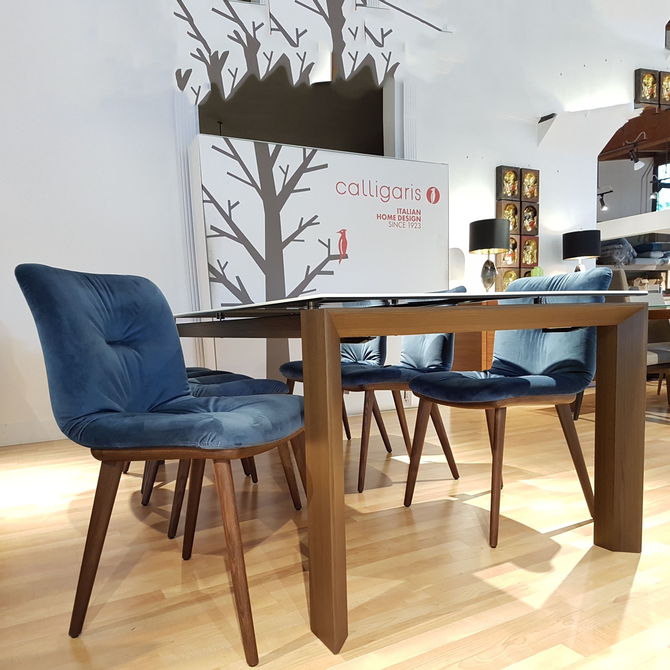 Annie chair hotsell calligaris